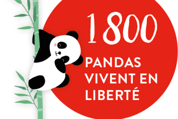 Les chiffres qui vous donnent le sourire !
