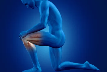 Actu santé : comment prévenir les douleurs aux genoux ?